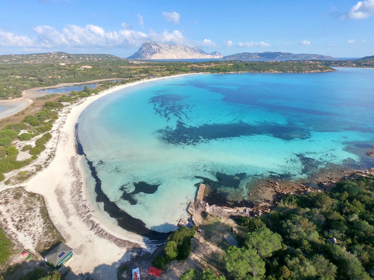Iss Travel, Ambra Apartments - 800 M From La Cinta Beach San Teodoro  Exteriör bild